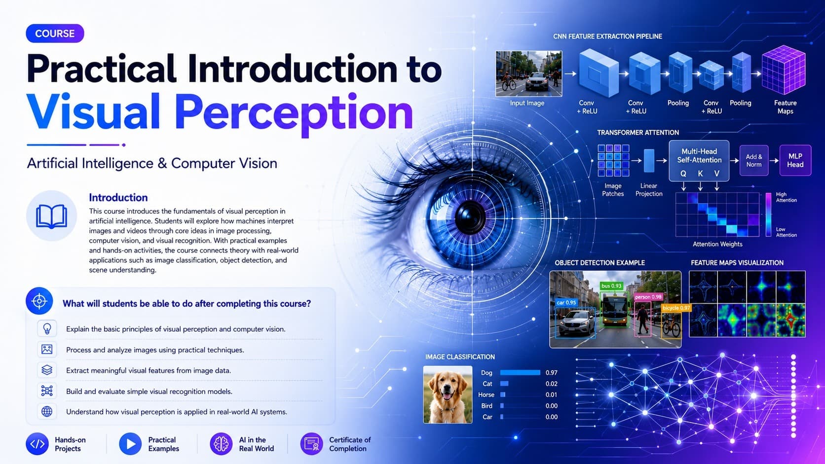 Practical Introduction to Visual Perception cover
